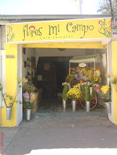 Flores mi Campo - Casa Integral