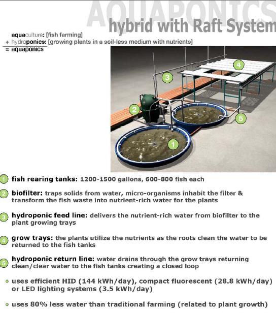 [aquaponics.jpg]