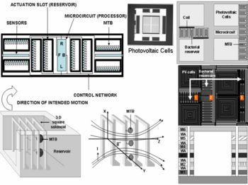 [bacteriamicrosystems.jpg]