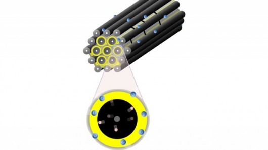 [lithium_sulfur_batteries_structurejpg.jpg]