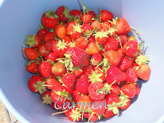 Fresas.jpg