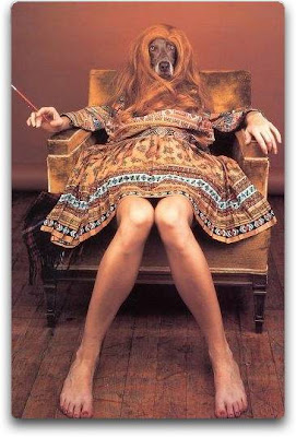 cover-back-wegman.jpg