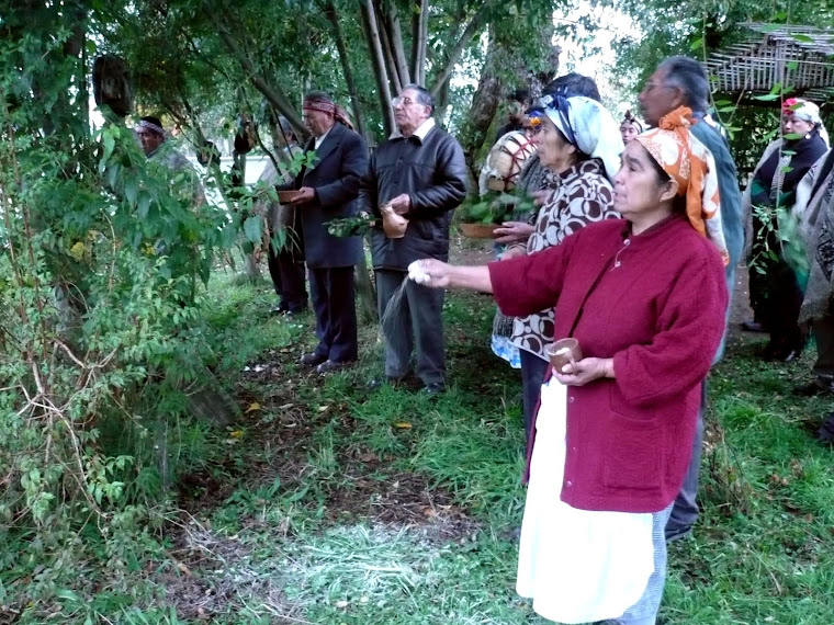 CULTURA MAPUCHE (8). ROGATIVA DE LOS DIRIGENTES MAPUCHE