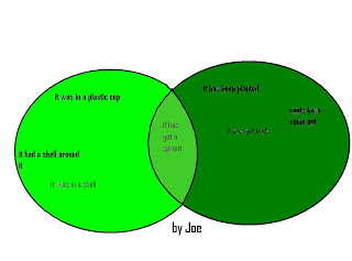 Room 14 Seekers of Knowledge: Beans and Venn Diagrams