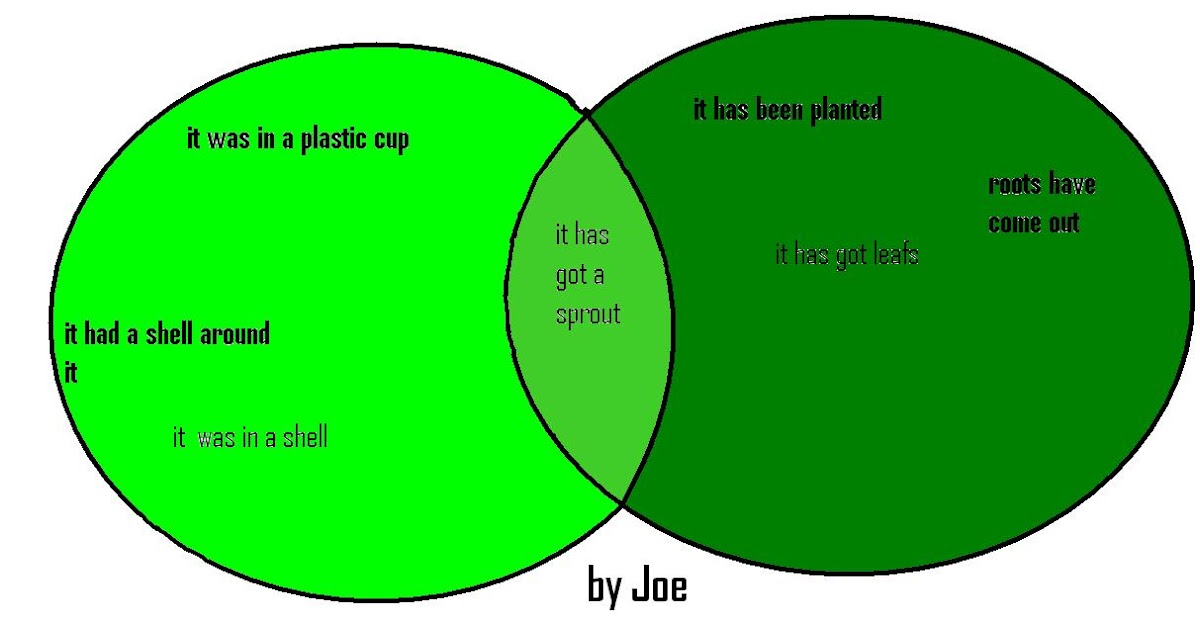 Room 14 Seekers of Knowledge: Beans and Venn Diagrams