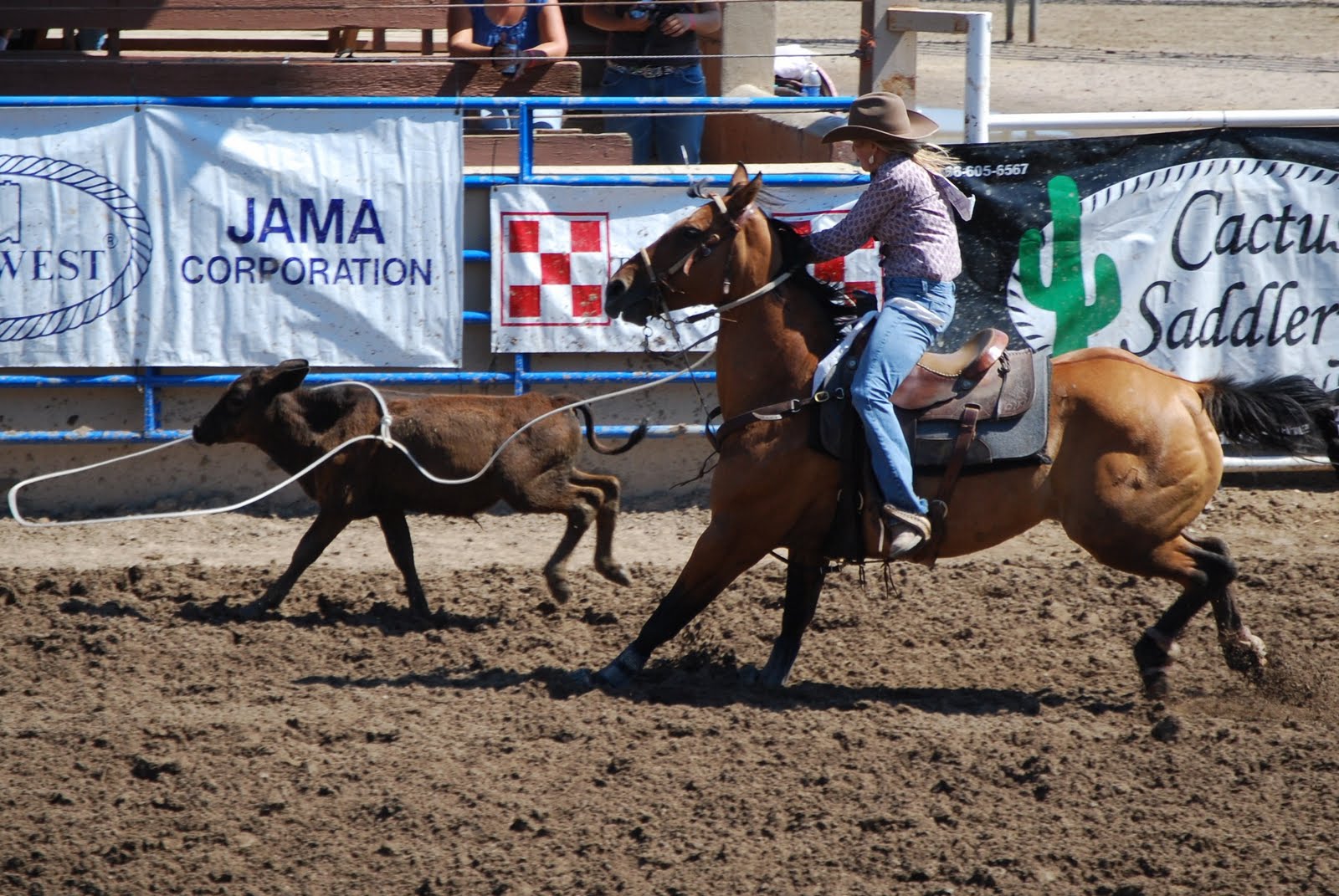 Rodeo Moms Club Breakaway Roping Picture of the Week