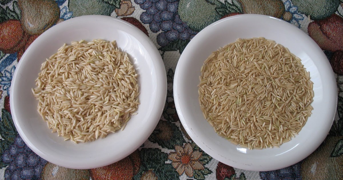 Himalayan Pride Basmati Rice Review Pride Of India