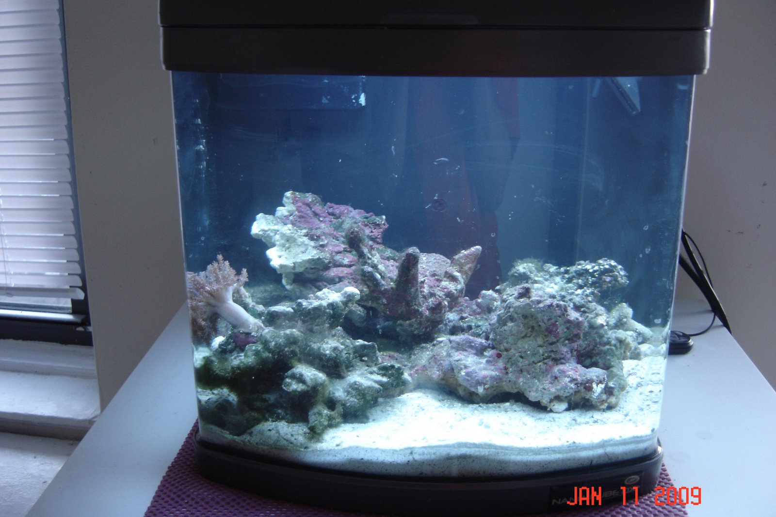 [DSC02750.JPG]