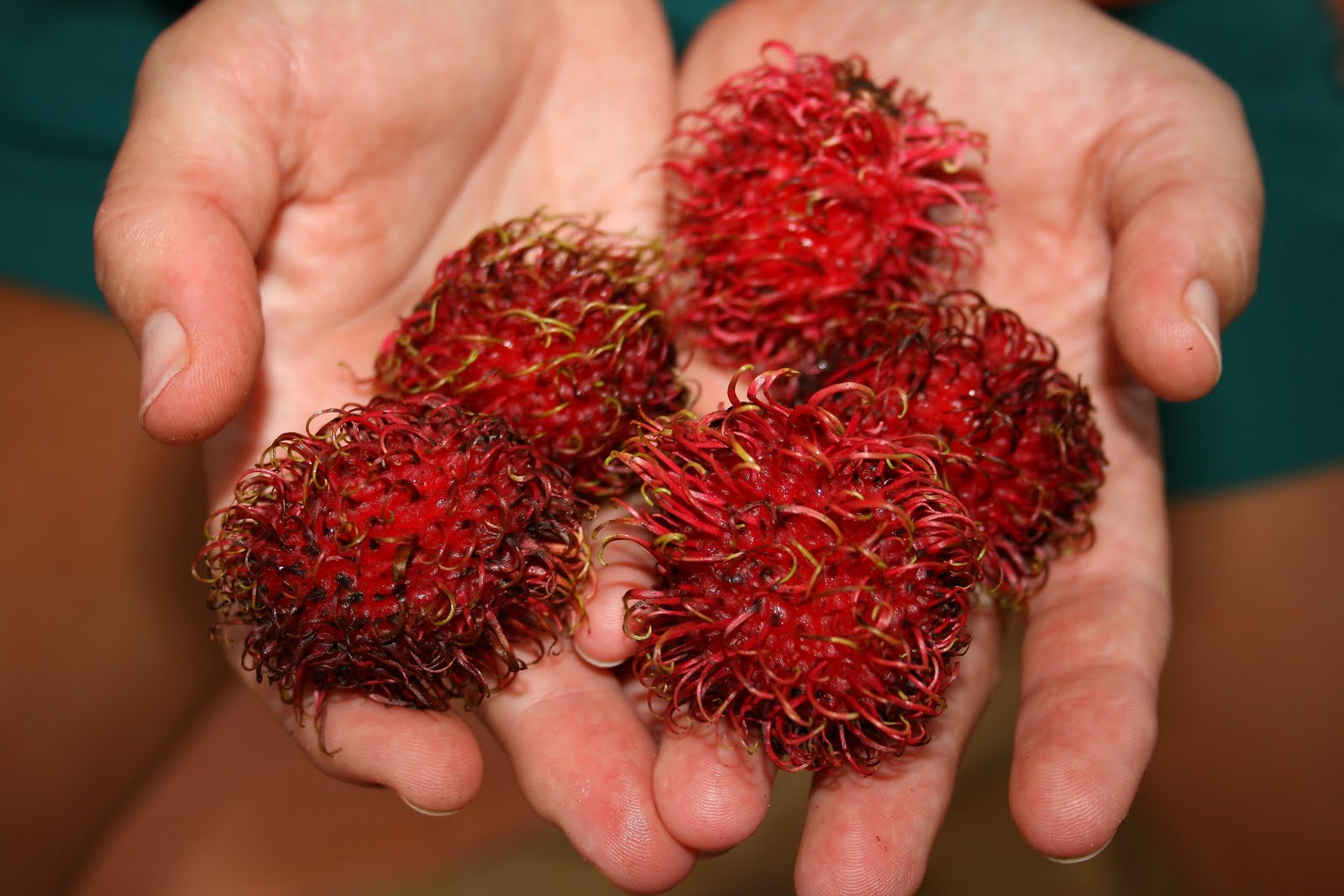 IMAGENES Y VIAJES: MAMONES CHINOS