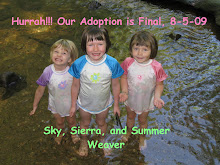 Our Daughters Adoption is Final!!!