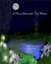 A Pond Beneath the Moon