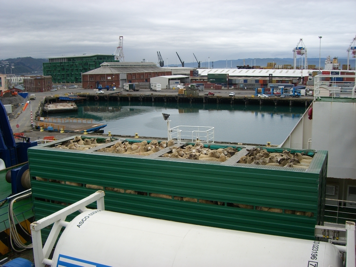 [CIMG2007.JPG]