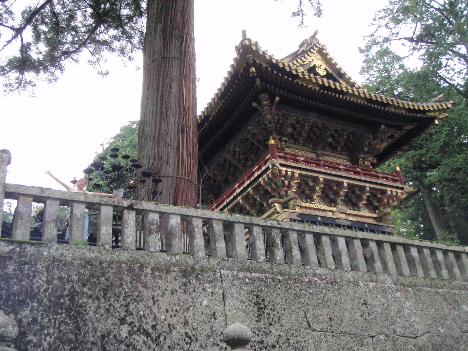 [P8160133.JPG]