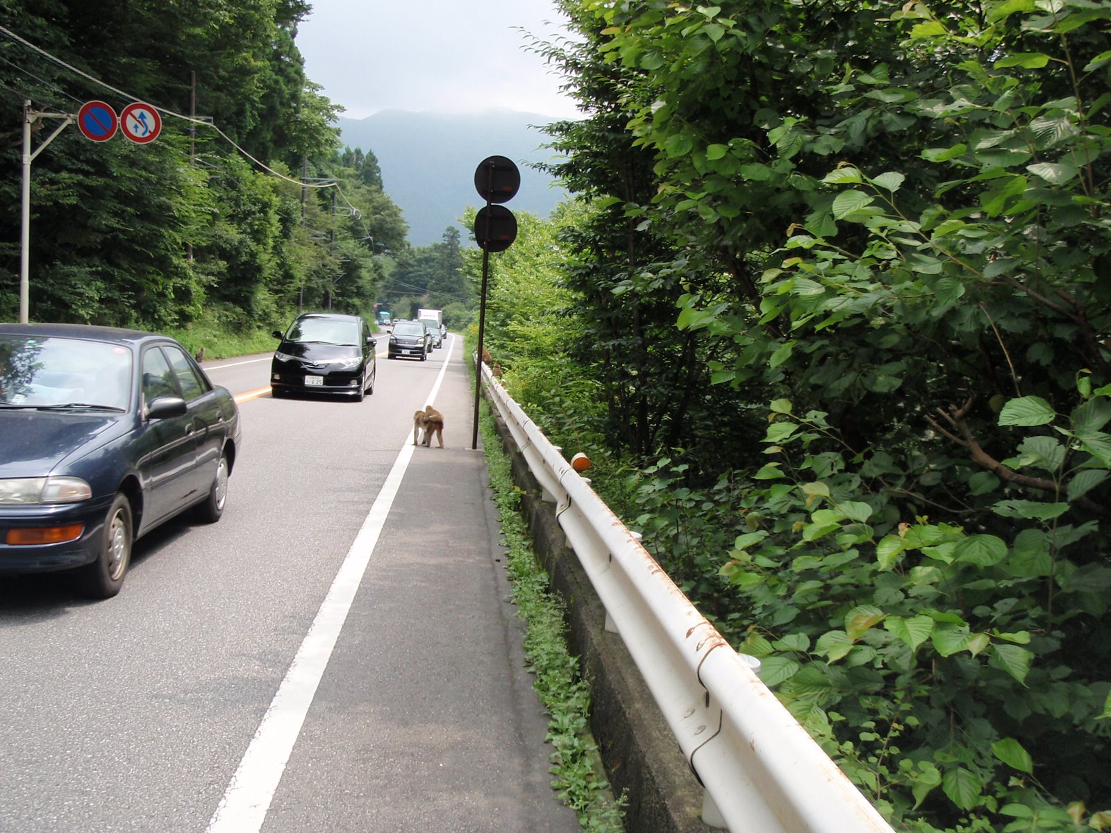[P8160167.JPG]