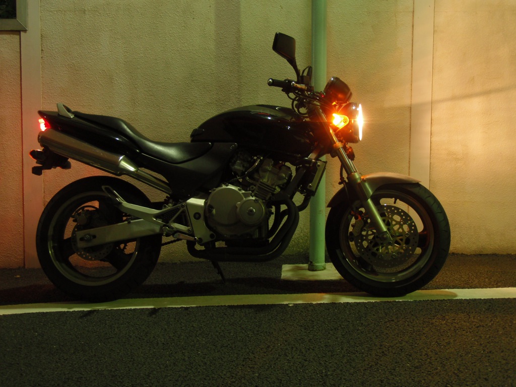 [P2070813_50.jpg]