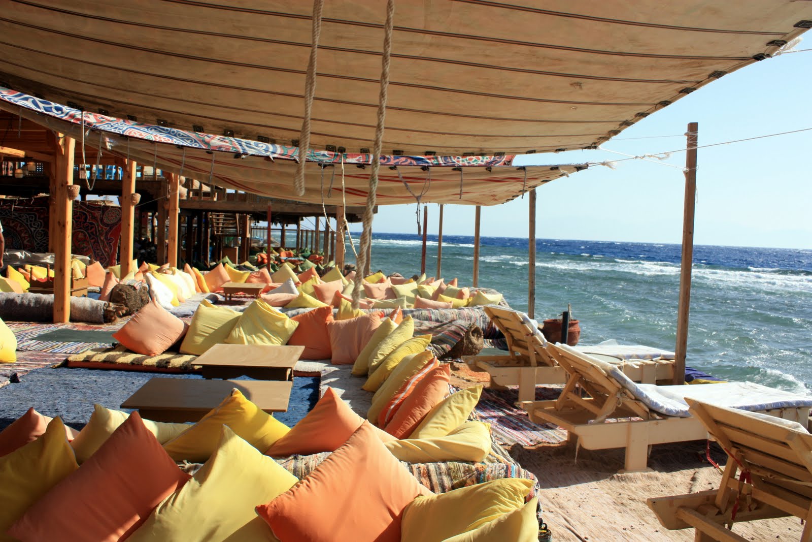 Ahlan Cairo! Dahab Pictures!!!