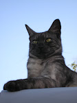 Onyx