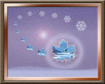 Snow Birds