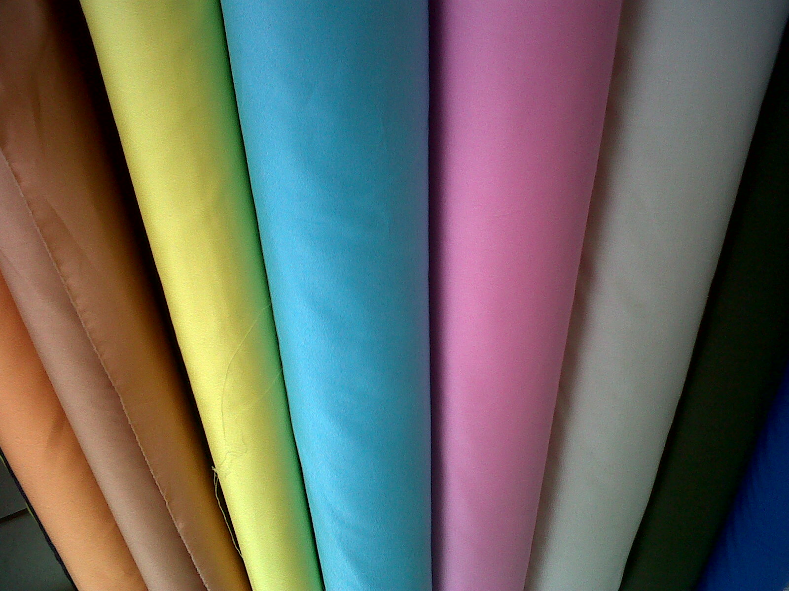 Shamrock.: Shamrock Loves Colors.