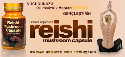 Red Reishi Mushroom
