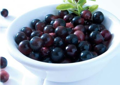 Acai Berry Meyvesi Resimi