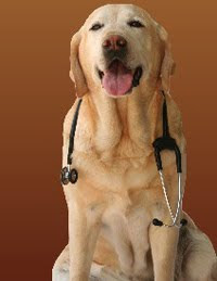 E ele não te encanta???