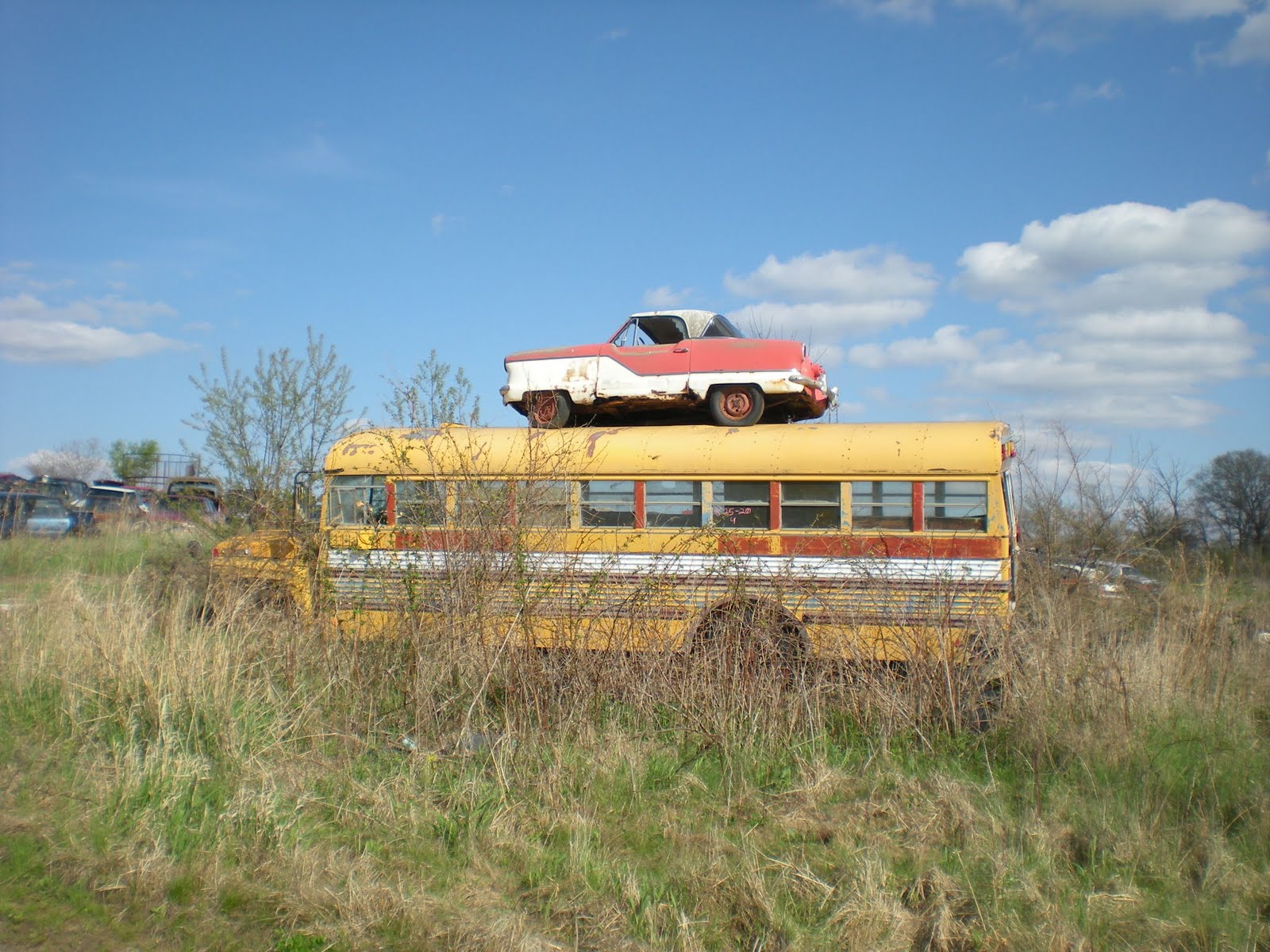[car.JPG]