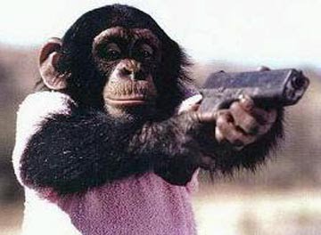 [Danger_Chimps.jpg]