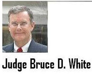 bruce judge violates canons va court judicial conduct