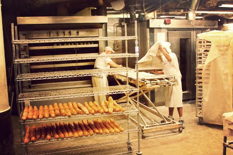 [IMG_0430_1.JPG]