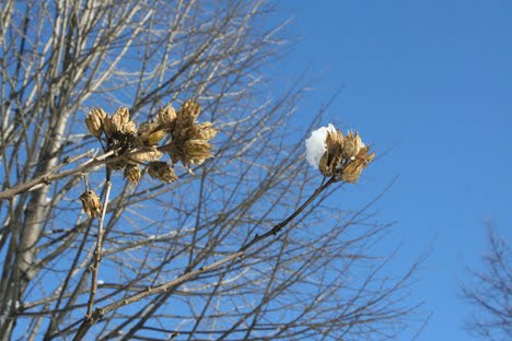 [IMG_1129.JPG]