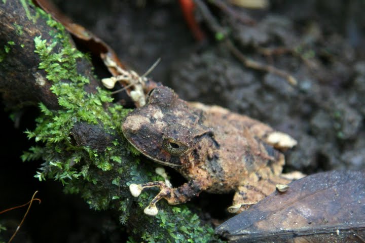 [img_2208.jpg]