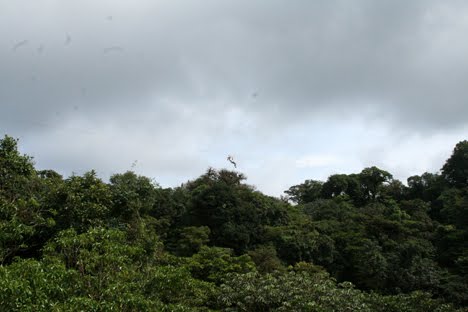 [img_2345.jpg]