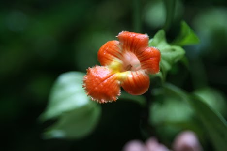[img_2487.jpg]