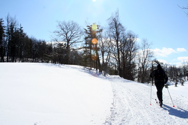 [IMG_7525.JPG]