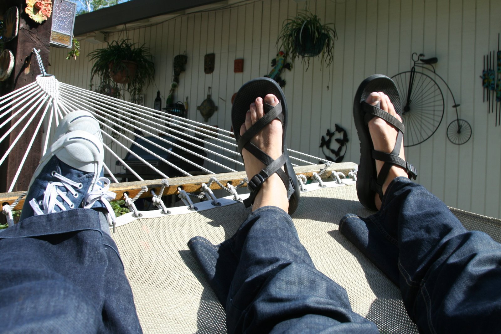 [hammock.JPG]