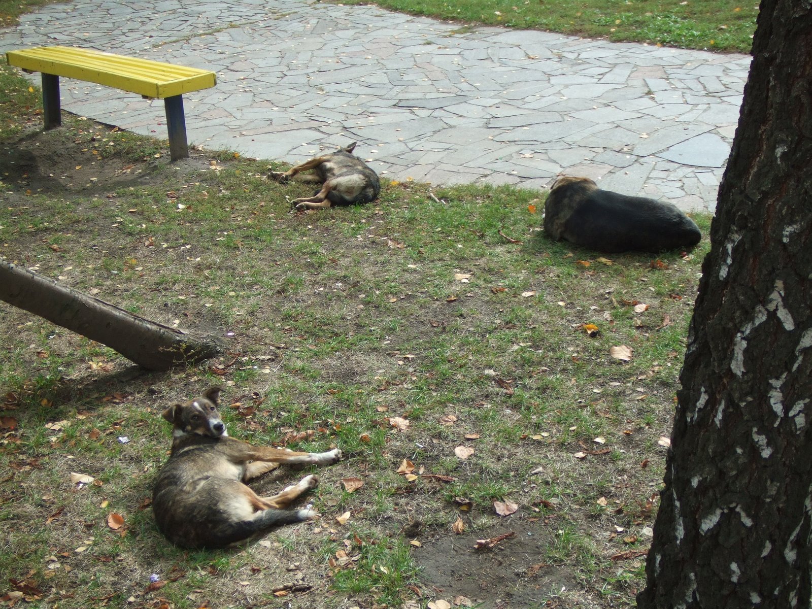 [KyivFirstDays+018.JPG]