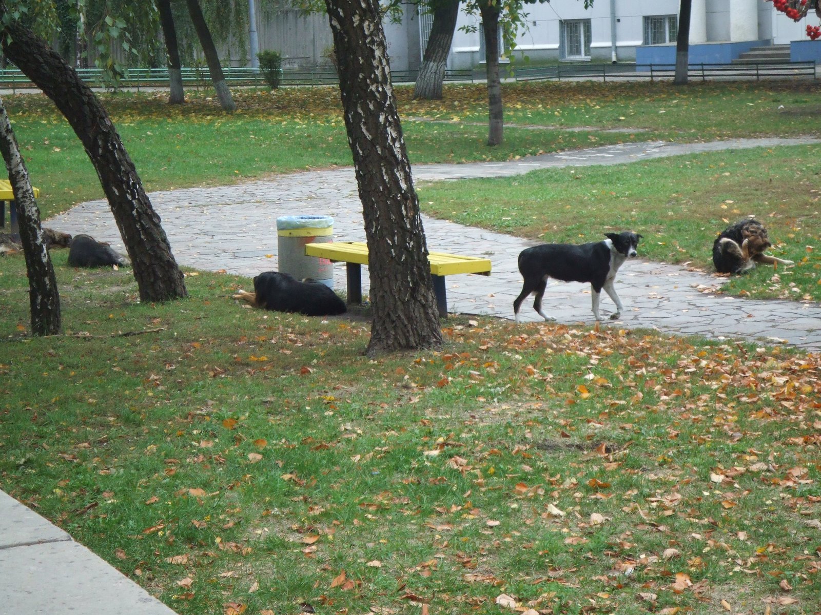 [KyivFirstDays+021.JPG]