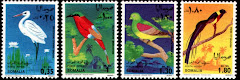 Birds of Somalia