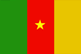 Flag of Cameroon