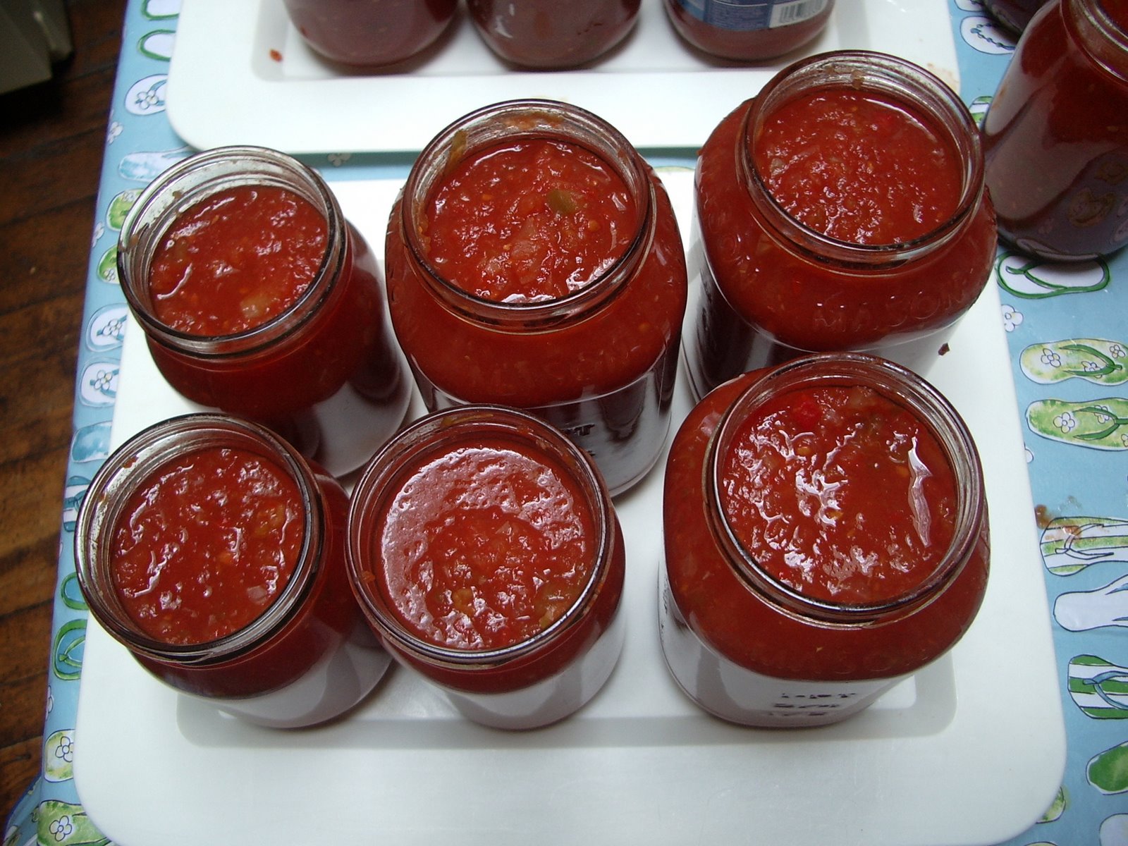 [Turkeys-tomatoes-salsa+172.JPG]