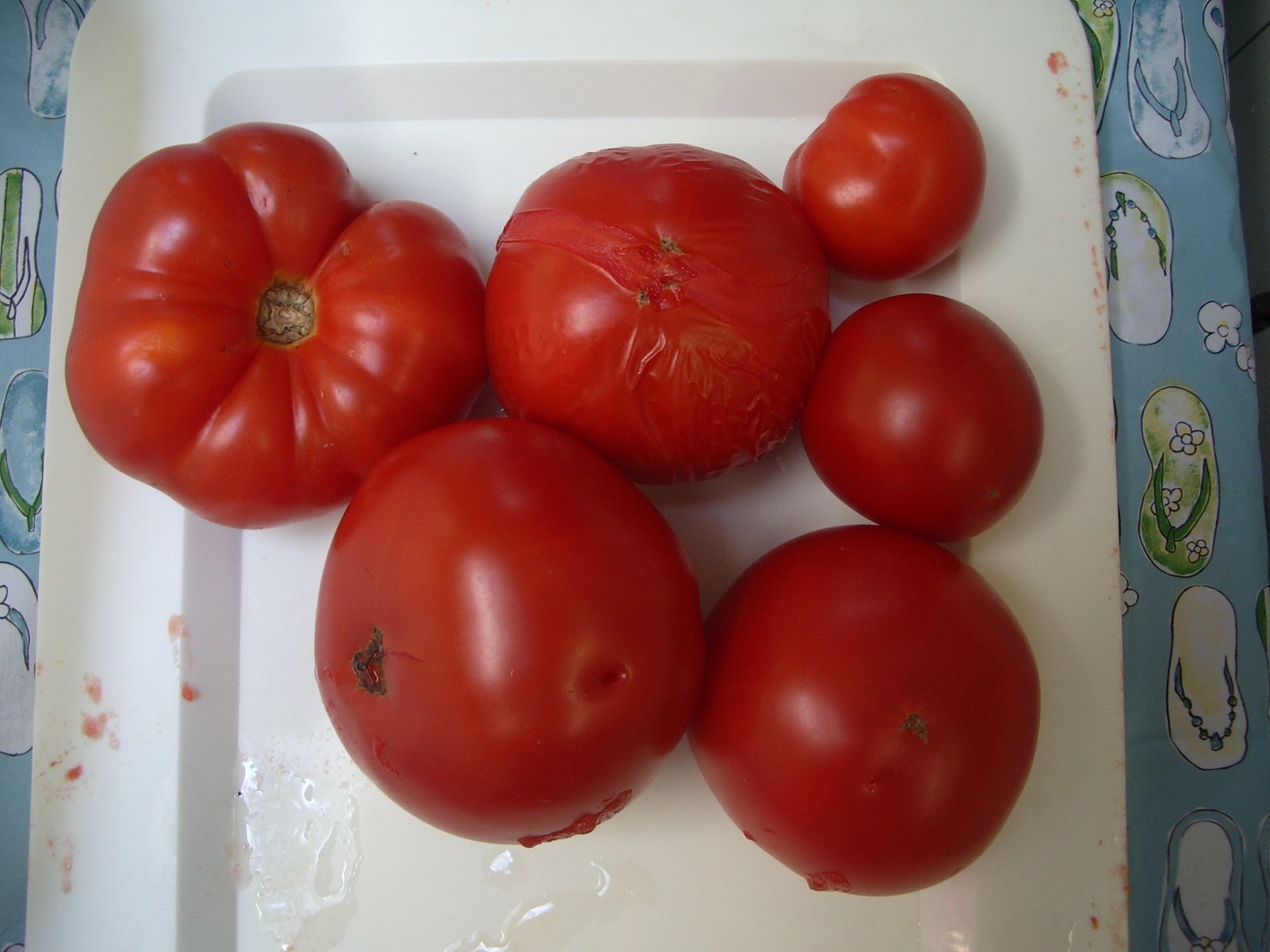 [Turkeys-tomatoes-salsa+106.JPG]