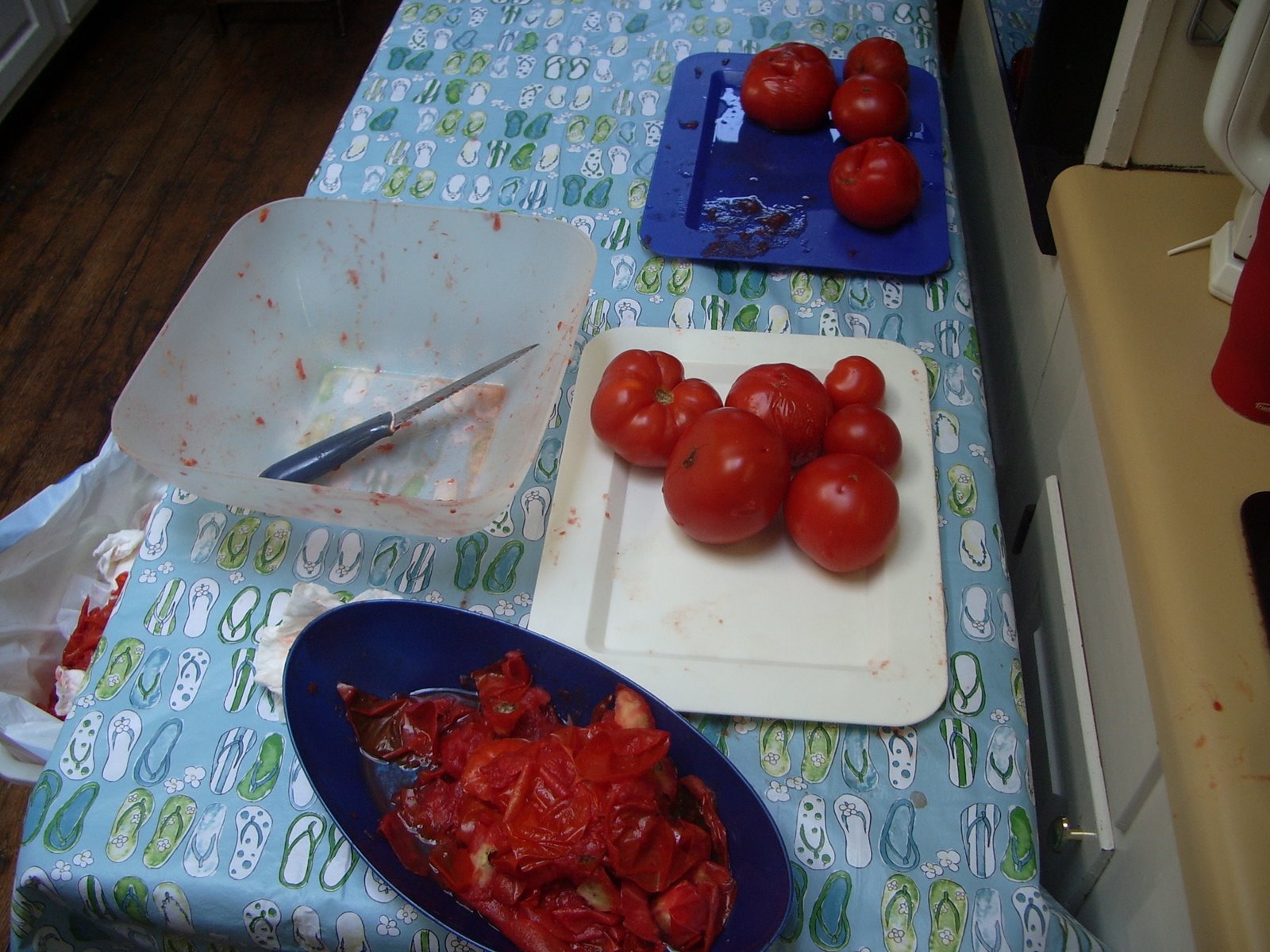 [Turkeys-tomatoes-salsa+107.JPG]