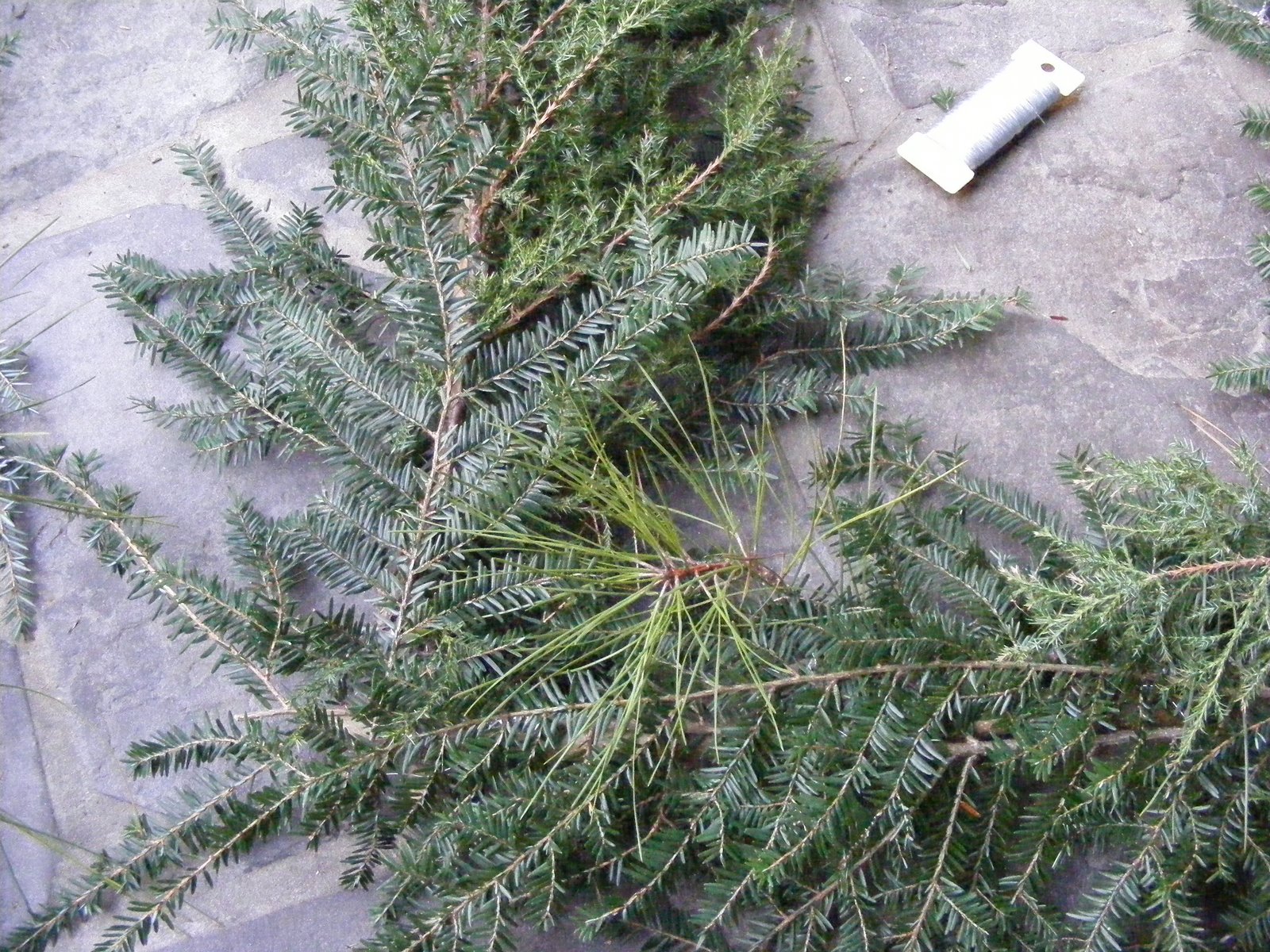 [Wreath+tree+018.JPG]