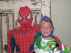 Spidy and Buzz