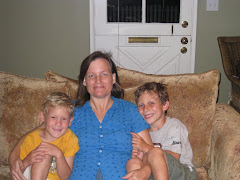 Aunt Traci visits the boys