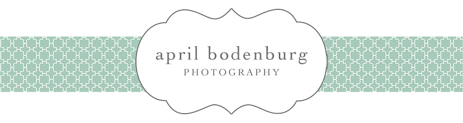 april bodenburg photography | blog