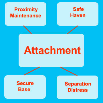 Factors that create a secure attachment on people