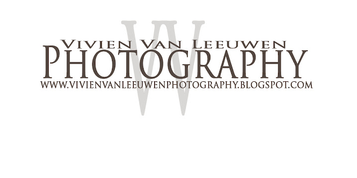 Vivien Van Leeuwen Photography