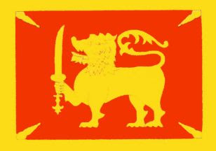 flag3.jpg